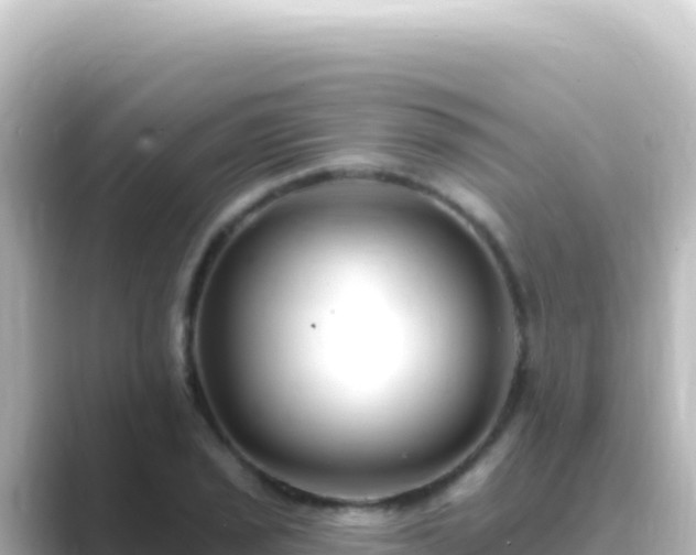 X0000089441029200706221225