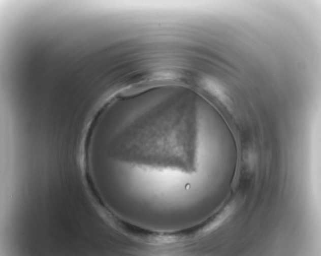 X0000089441034200706221225
