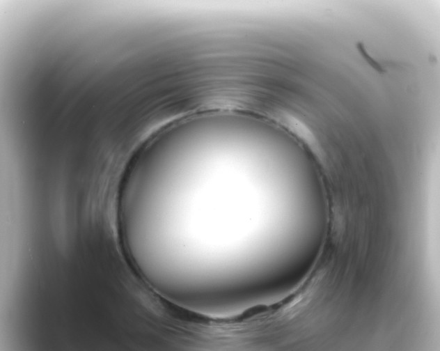 X0000089441035200706221225