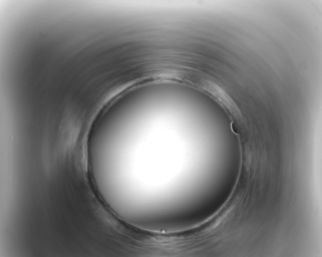 X0000089441036200706221225
