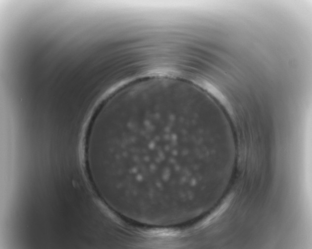 X0000089441037200706221225