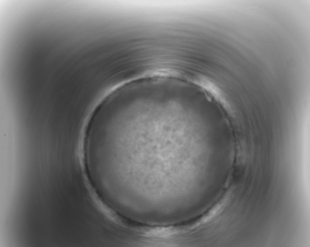 X0000089441038200706221225