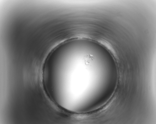 X0000089441040200706221225