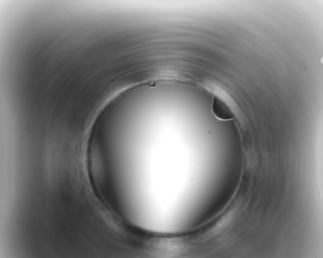 X0000089441043200706221225