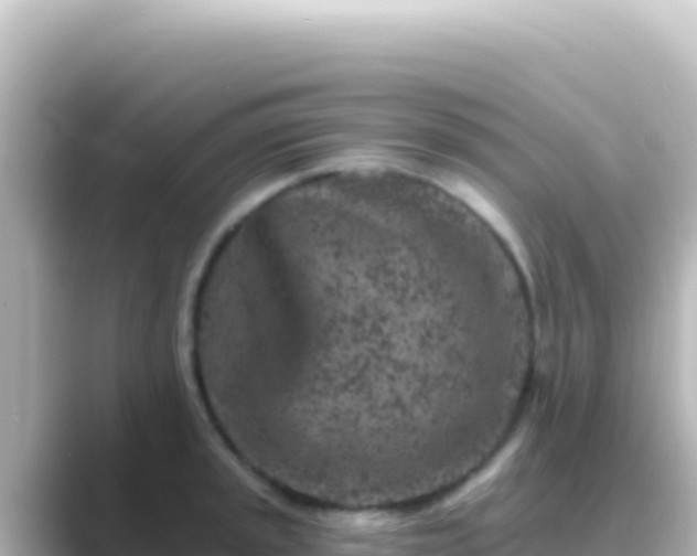 X0000089441045200706221225