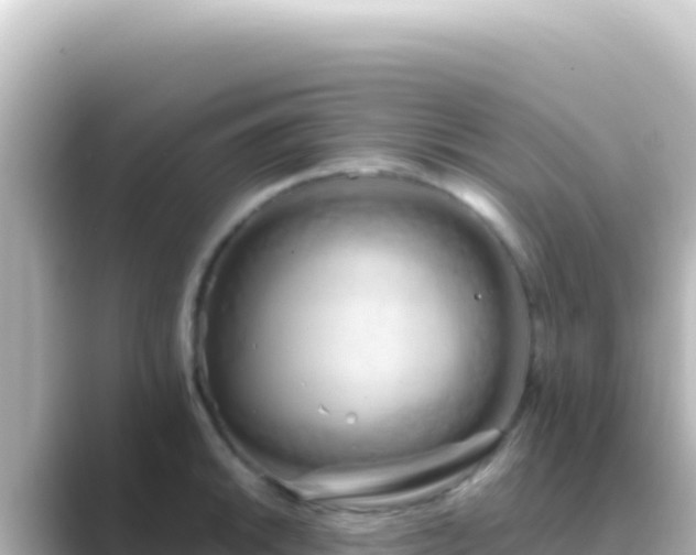 X0000089441046200706221225