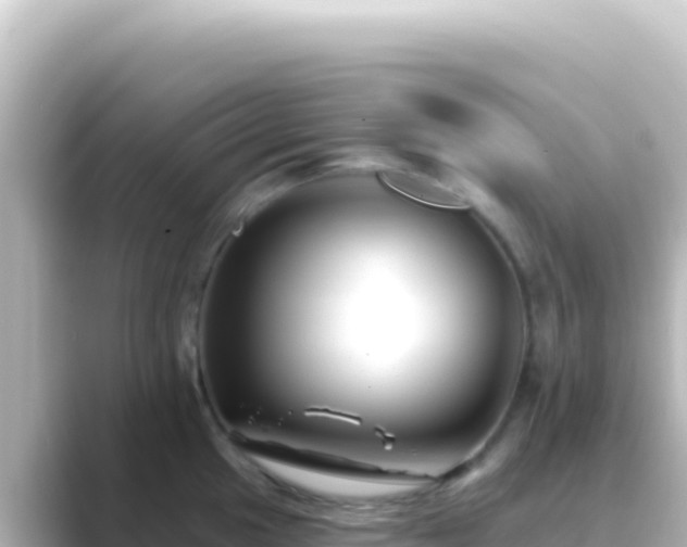 X0000089441049200706221226