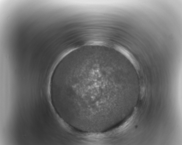 X0000089441050200706221226