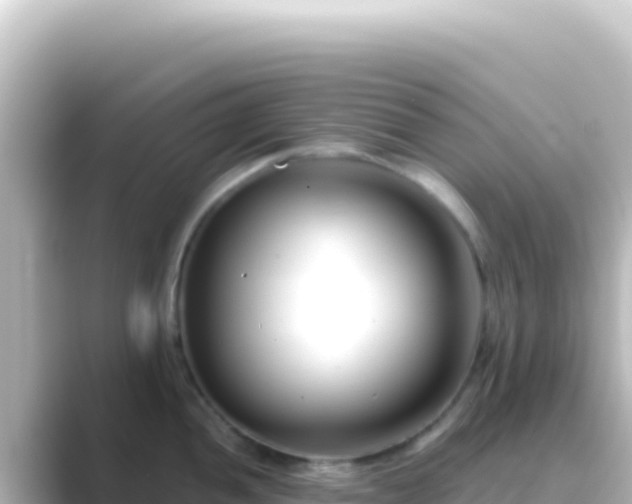 X0000089441052200706221226