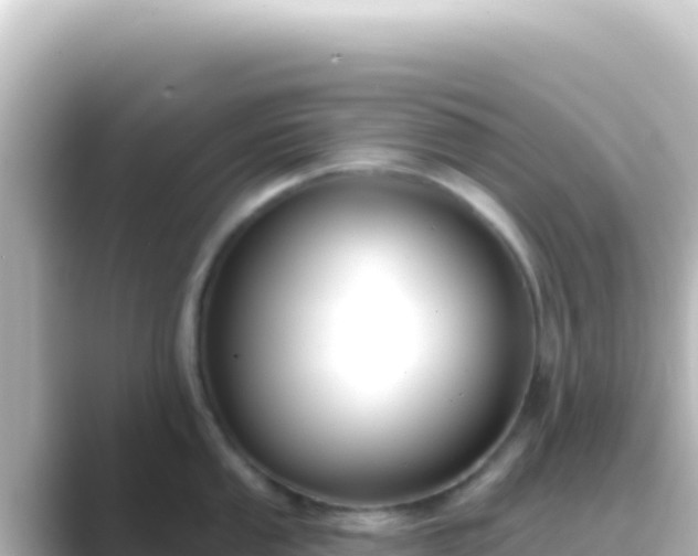 X0000089441053200706221226