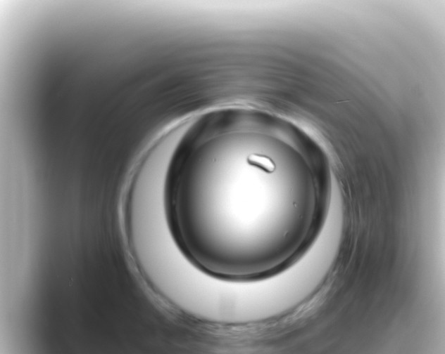 X0000089441054200706221226
