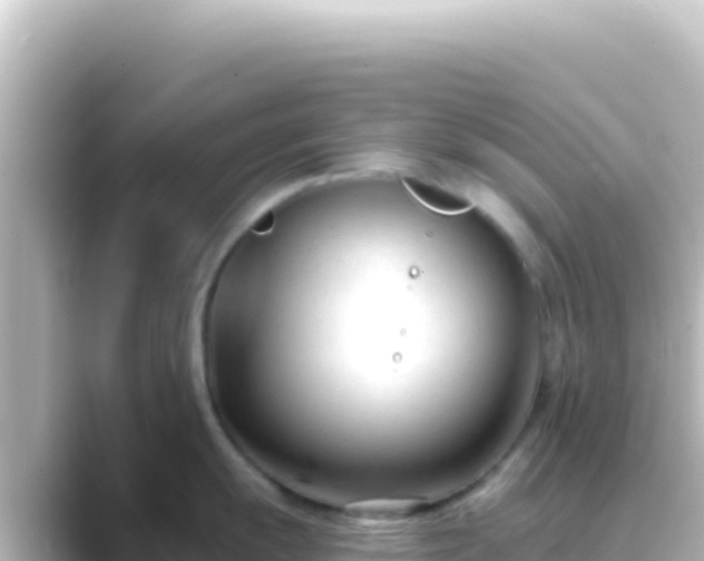 X0000089441055200706221226