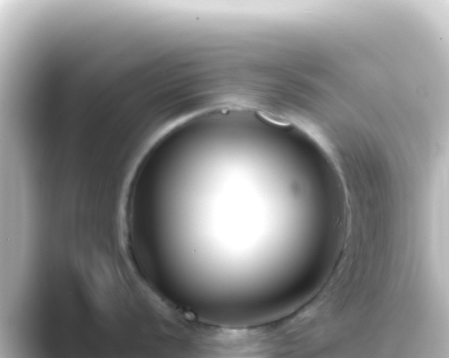 X0000089441056200706221226