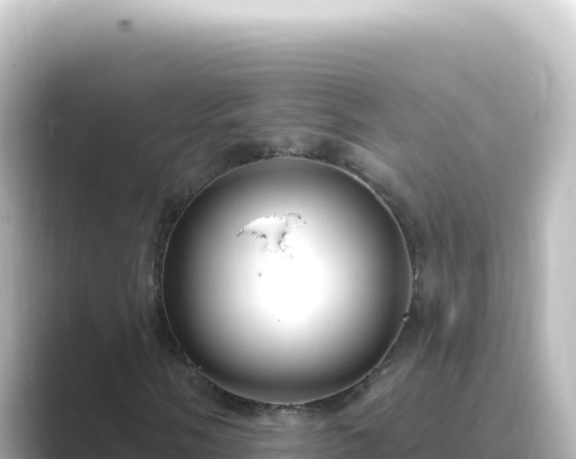 X0000089441058200706221225