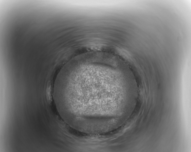 X0000089441060200706221225