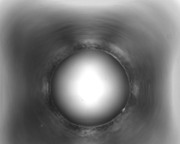 X0000089441061200706221225
