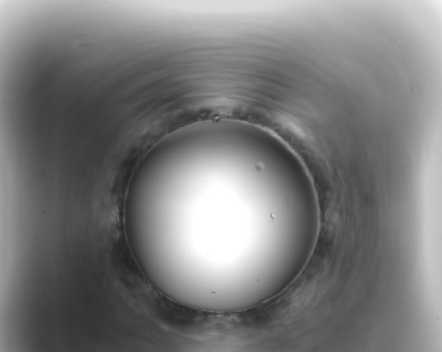 X0000089441062200706221225