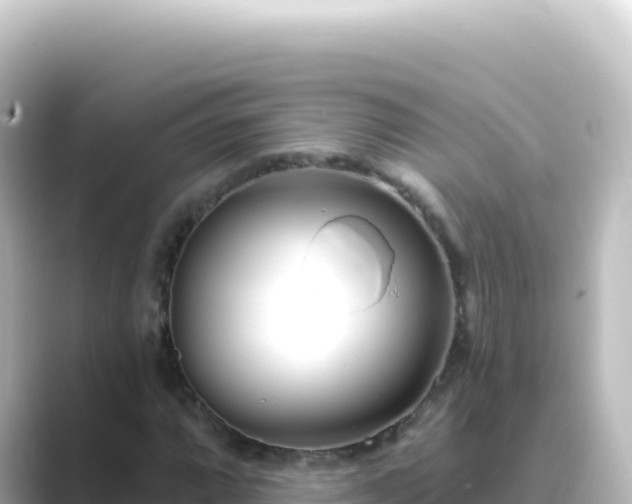 X0000089441064200706221225