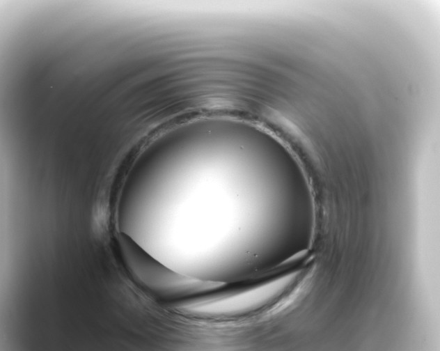X0000089441065200706221225