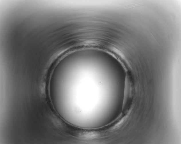 X0000089441066200706221225
