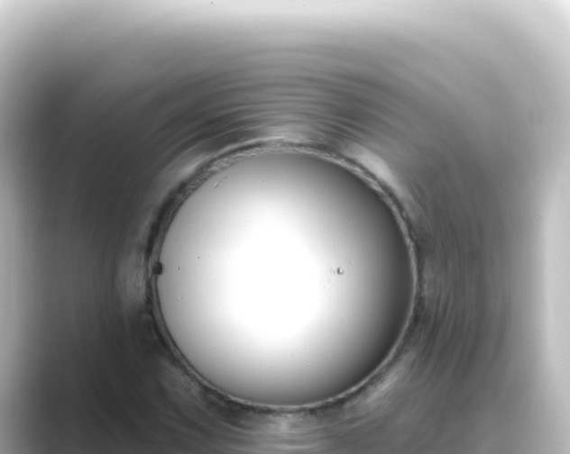 X0000089441067200706221225