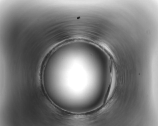 X0000089441068200706221225