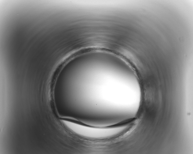 X0000089441069200706221225