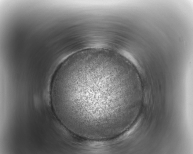 X0000089441071200706221225