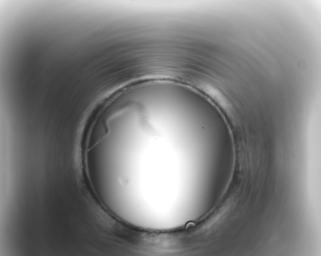 X0000089441072200706221225