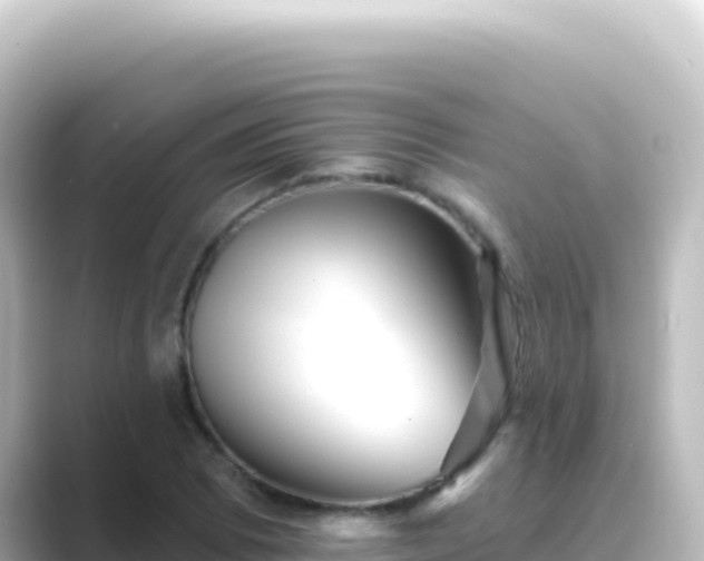 X0000089441073200706221225