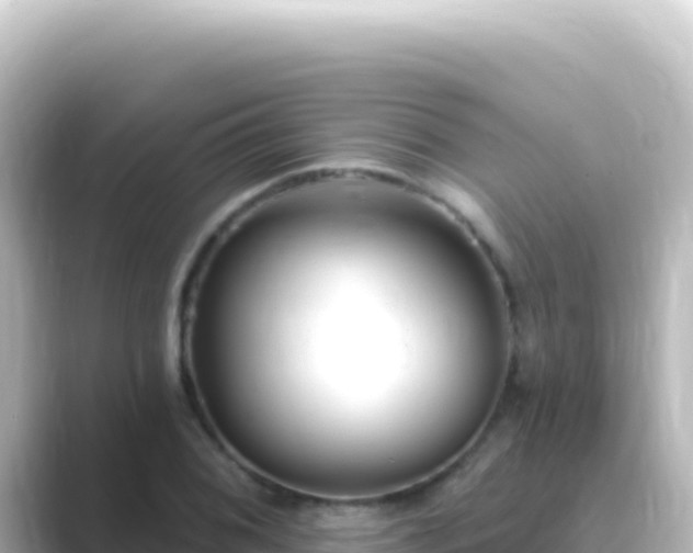 X0000089441076200706221225