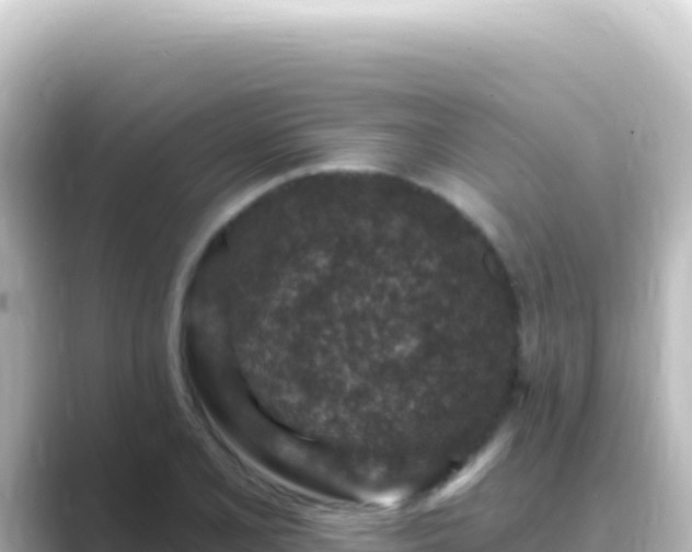 X0000089441077200706221225