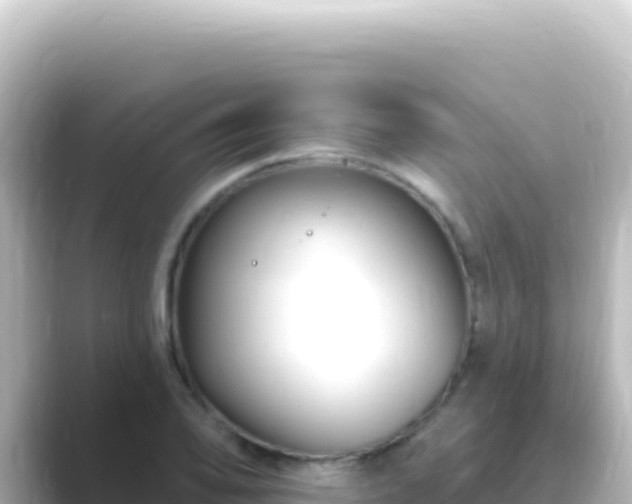 X0000089441078200706221225
