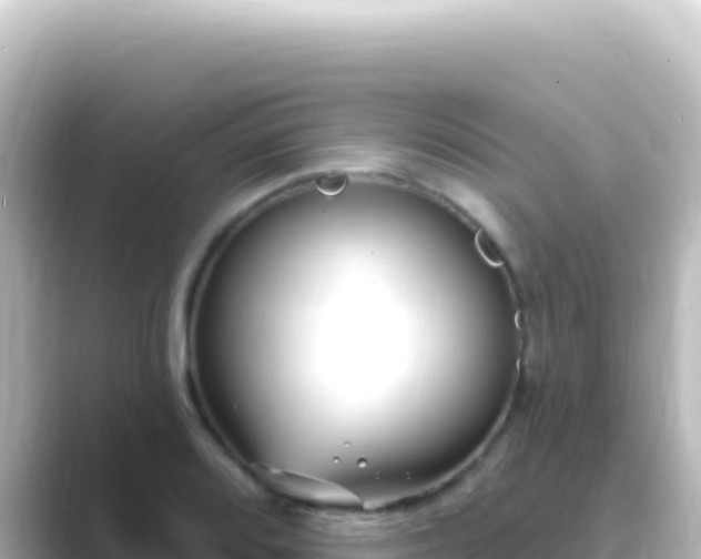 X0000089441080200706221225