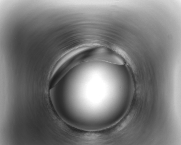 X0000089441081200706221225
