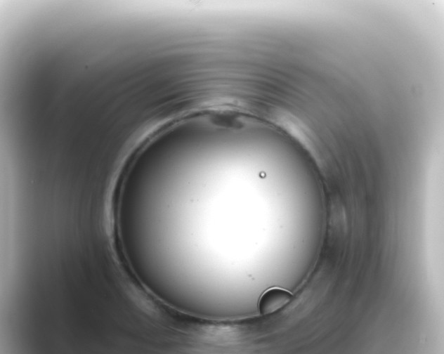 X0000089441082200706221225