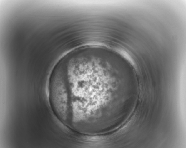 X0000089441084200706221225