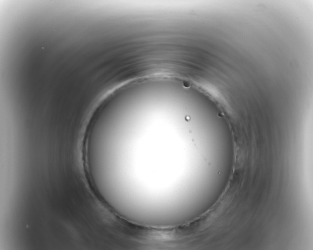 X0000089441086200706221225