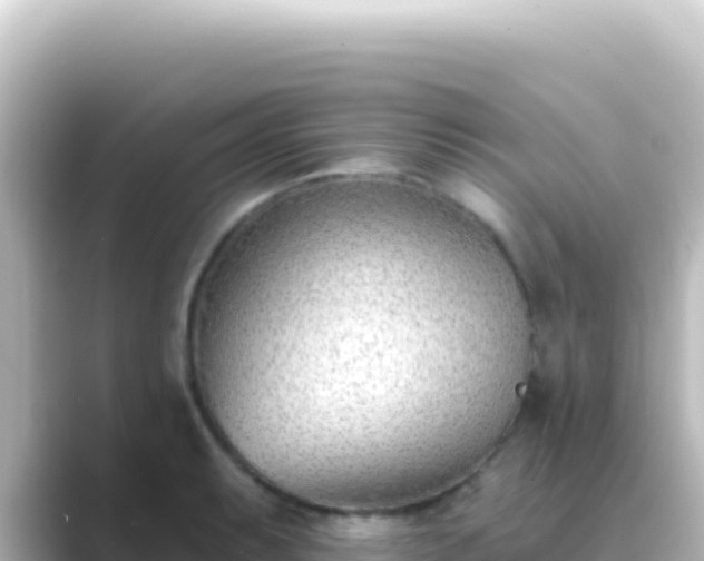 X0000089441087200706221225