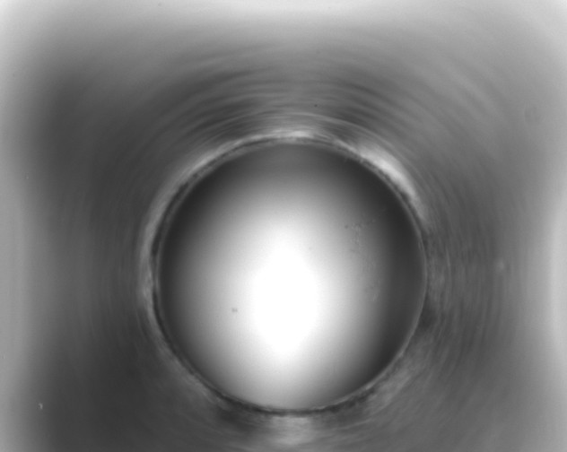 X0000089441088200706221225