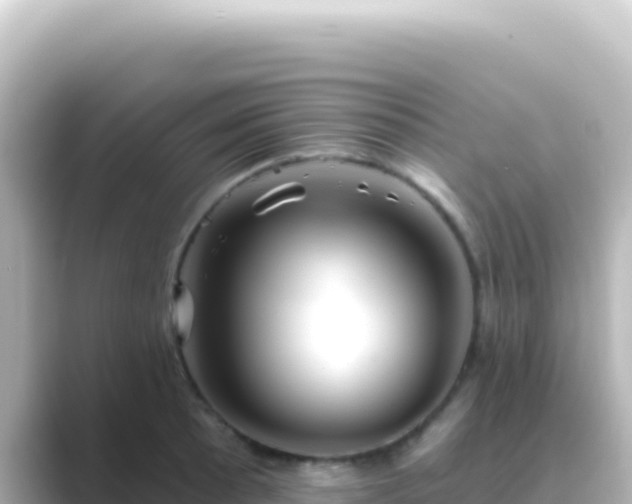 X0000089441089200706221225