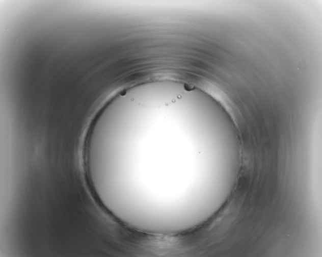 X0000089441090200706221225