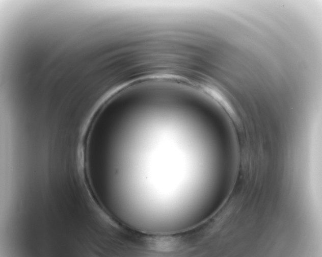 X0000089441092200706221225