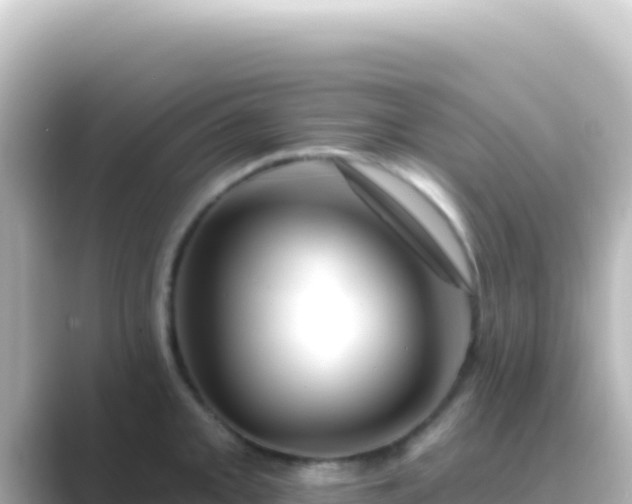 X0000089441093200706221225
