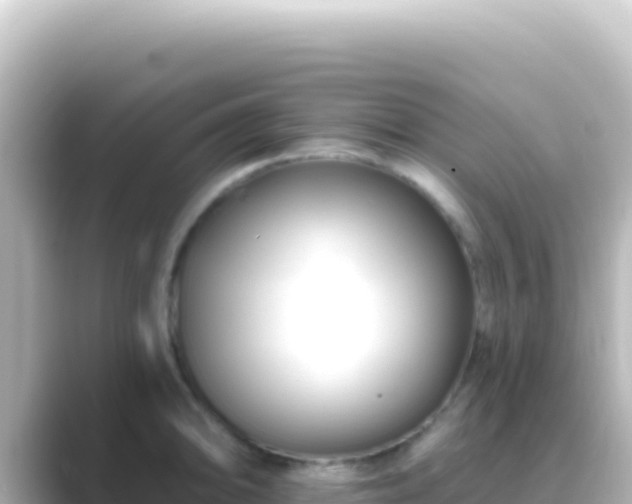 X0000089441094200706221225