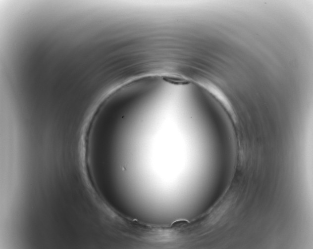 X0000089441096200706221225