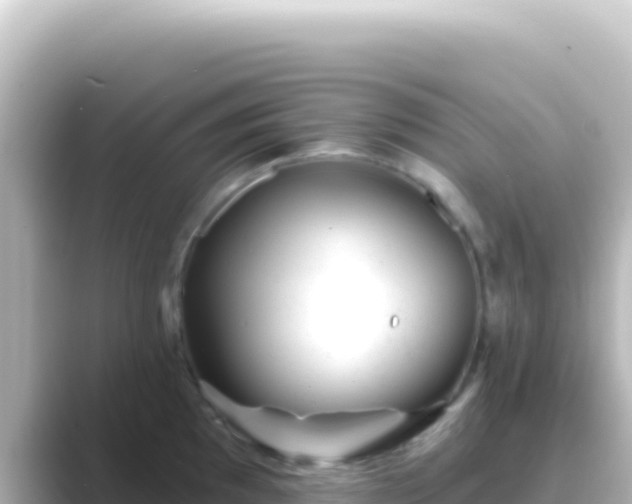 X0000089441097200706221225