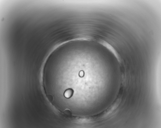 X0000089441099200706221225