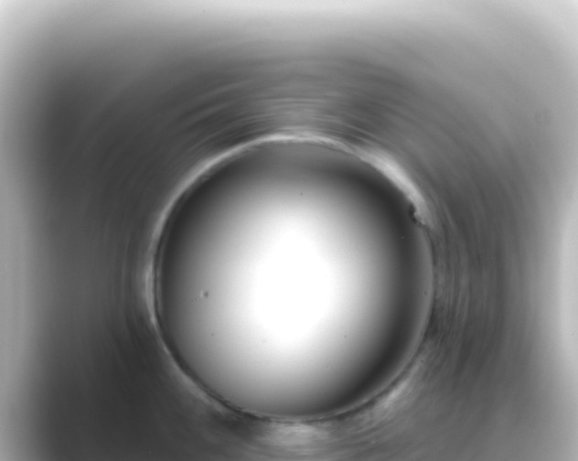 X0000089441100200706221225