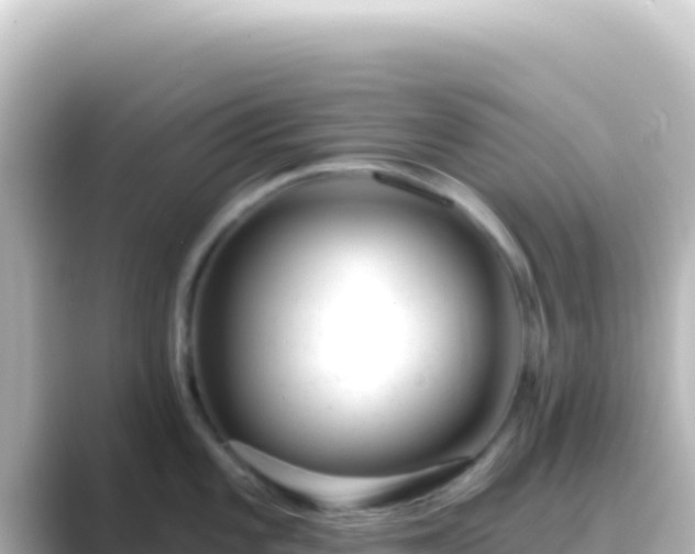 X0000089441101200706221225